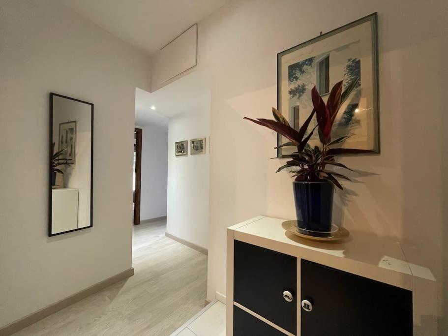 רומא Spacious And Bright מראה חיצוני תמונה